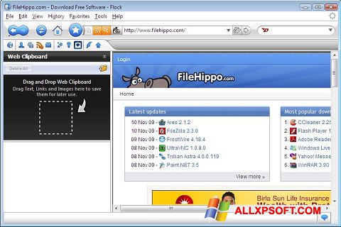 Skærmbillede Flock Windows XP