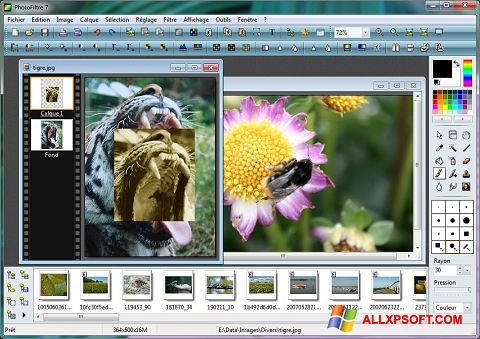 Skærmbillede PhotoFiltre Windows XP