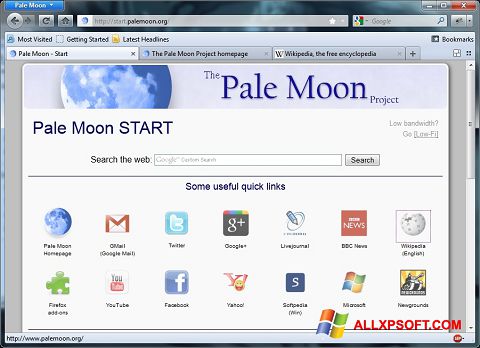 Skærmbillede Pale Moon Windows XP