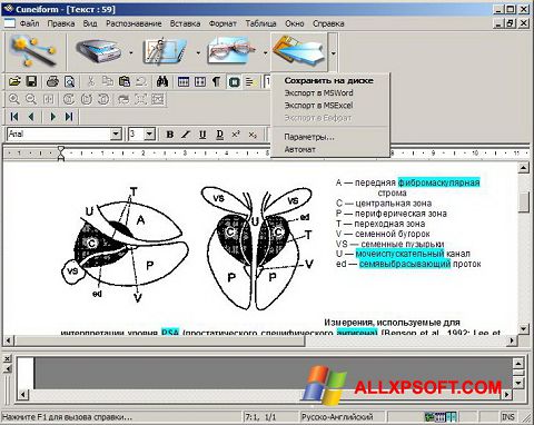 Skærmbillede CuneiForm Windows XP