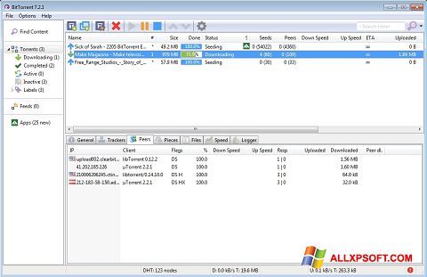 Skærmbillede BitTorrent Windows XP