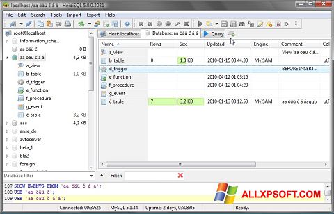 Skærmbillede HeidiSQL Windows XP