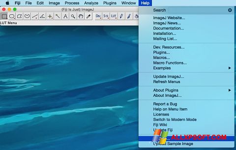 Skærmbillede ImageJ Windows XP