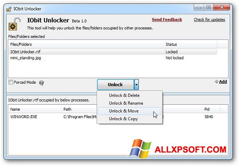 Skærmbillede IObit Unlocker Windows XP