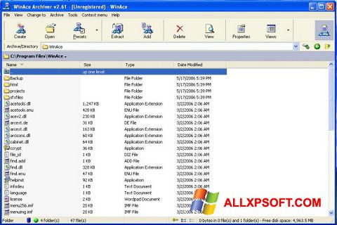 Skærmbillede WinAce Windows XP