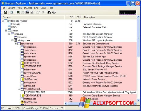 Skærmbillede Process Explorer Windows XP