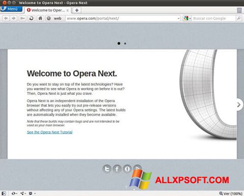 Skærmbillede Opera Developer Windows XP